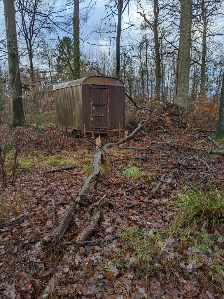 Der Bauwagen im Wald